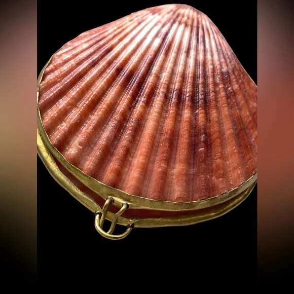 New Two’s Company Real Sea Shell Sunset Colors Ring Holder Pill Box Trinket - Picture 7 of 7